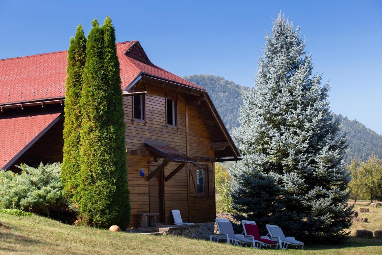 Woodenhouse With Two Apartments Otočac Exterior foto